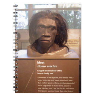 Cuaderno Homo erectus; objeto expuesto del museo