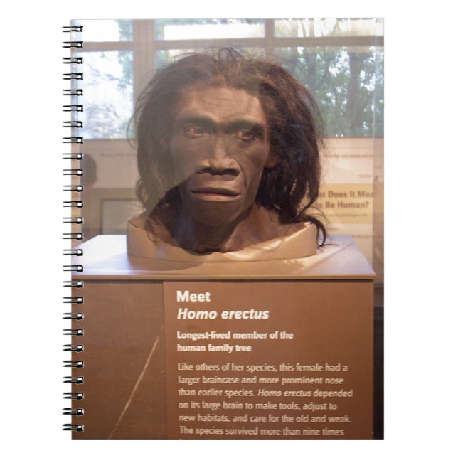 Cuaderno Homo erectus; objeto expuesto del museo (Frente)