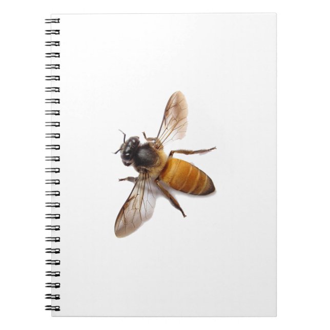Cuaderno Honey Bee (Frente)