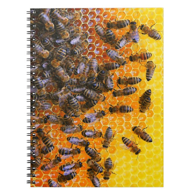 CUADERNO HONEY BEES (Frente)