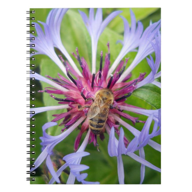 Cuaderno Honeybee Mandala (Frente)