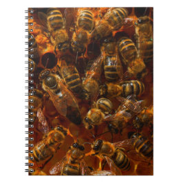 CUADERNO HONEYBEES 7