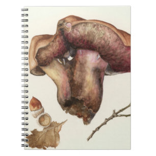 Cuaderno Hongo