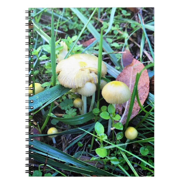 Cuaderno Hongos Amarillos Cutos, Oregón (Frente)