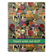 Hongos de hongos de hongo lindo jardín gris