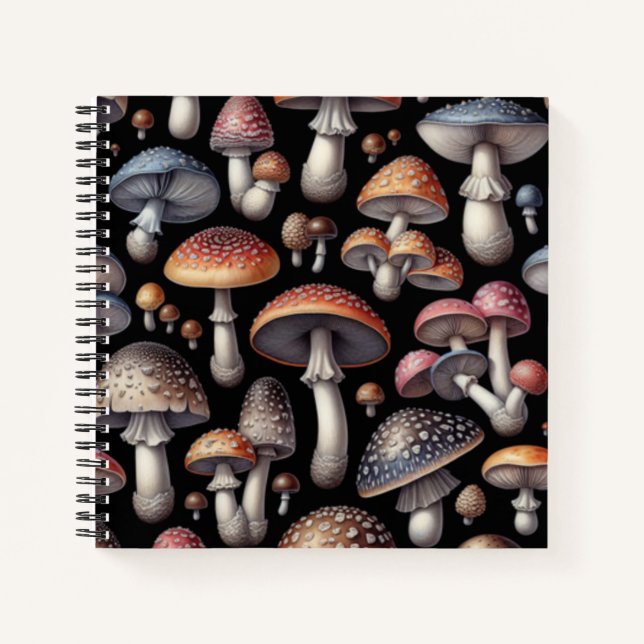 Cuaderno Hongos Soñadores (Anverso)