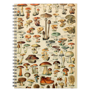 Cuaderno Hongos y hongos vintage