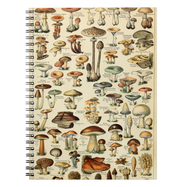 Cuaderno Hongos y hongos vintage (Frente)