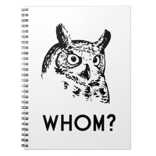 Cuaderno Hoo que quién búho de la gramática