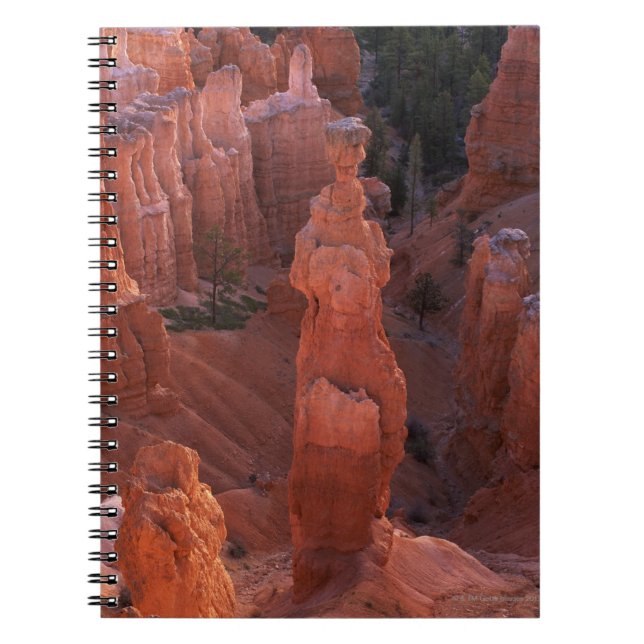 Cuaderno Hoodoo del martillo del Thor en rastro de Navajo (Frente)