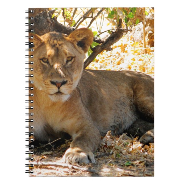 Cuaderno Hora de Siesta (Frente)