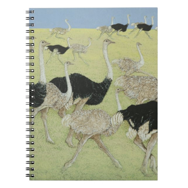 Cuaderno Hora punta 2 (Frente)