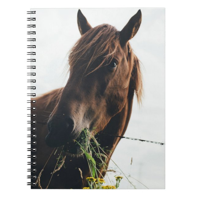 CUADERNO HORSE CHEWING GRASS (Frente)