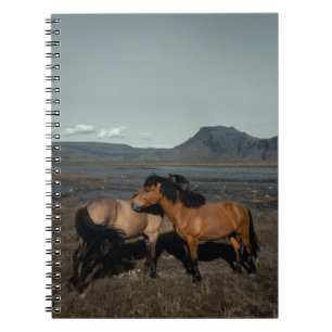 CUADERNO HORSE COUPLE