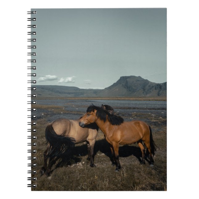 CUADERNO HORSE COUPLE (Frente)