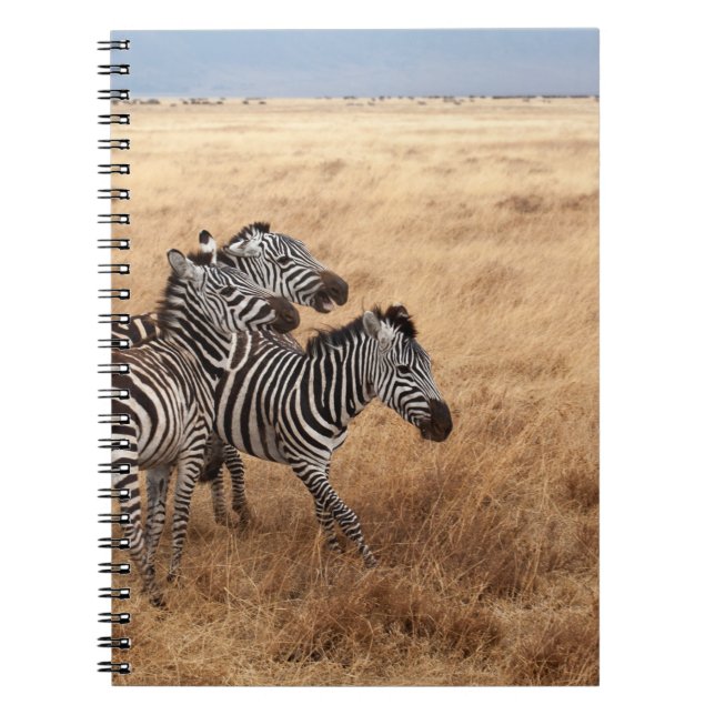 CUADERNO HORSE RACE (Frente)