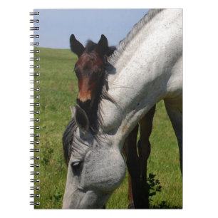 Cuaderno Horse Ranch Granja Destino Naturaleza Fondo