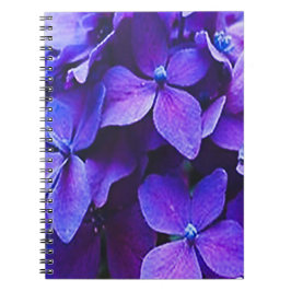 Cuaderno Hortensia Azul Rojo