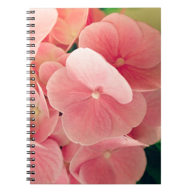 Cuaderno Hortensia Hidrangea flores rosa pastel floridas (Frente)
