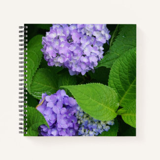 Cuaderno Hortensia Lavanda