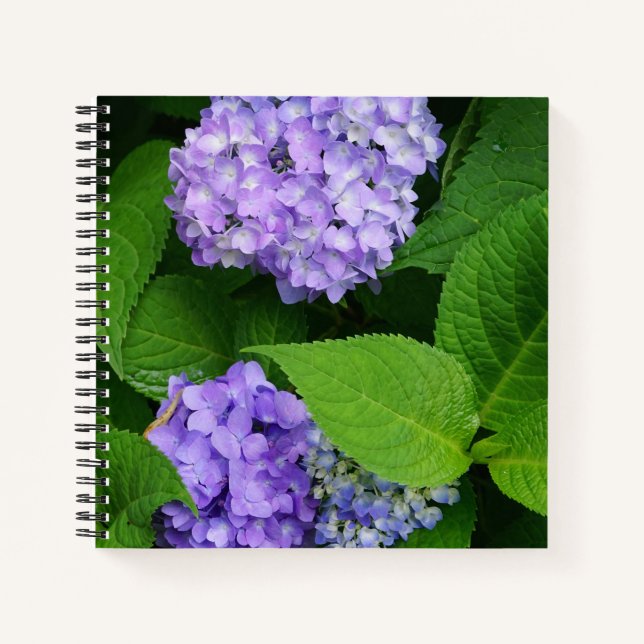 Cuaderno Hortensia Lavanda (Anverso)