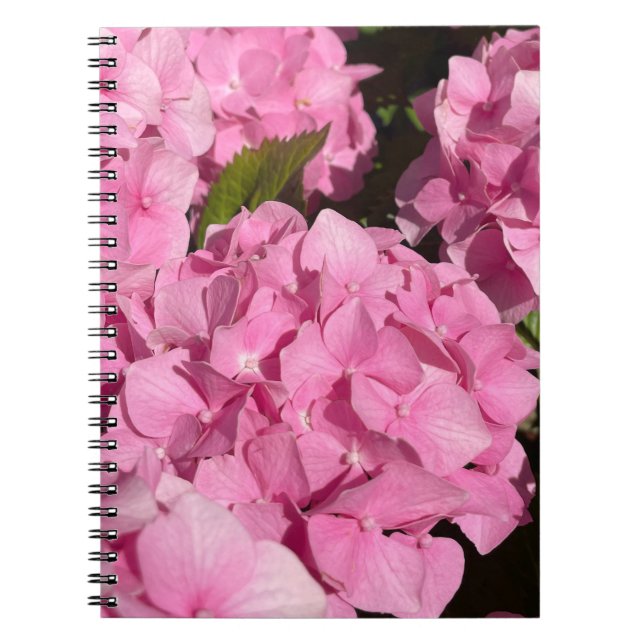 Cuaderno Hortensia Rosa (Frente)