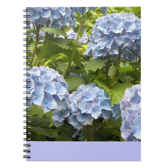 Cuaderno Hortensias Azules Profundas (Frente)