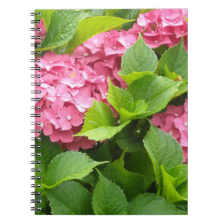Cuaderno Hortensias Rosa Profundo