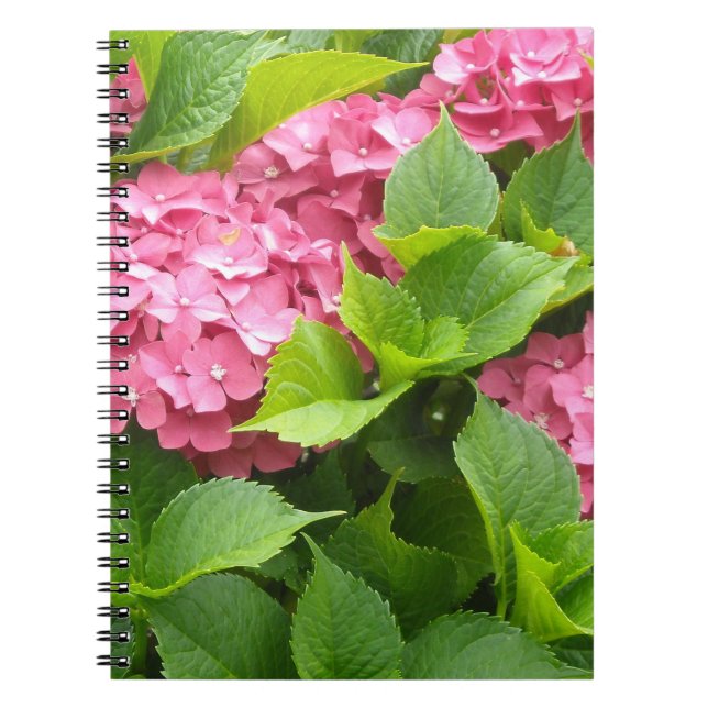 Cuaderno Hortensias Rosa Profundo (Frente)