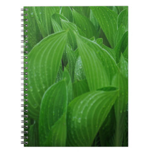 Cuaderno Hosta deja con un bloc de notas con gotas de lluvi