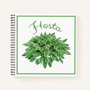 Cuaderno Hosta Design Square Spiral Notebook