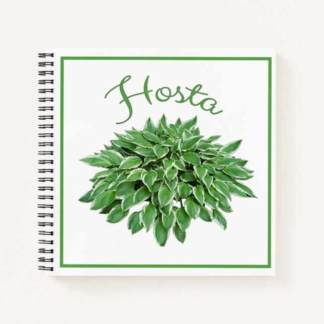 Cuaderno Hosta Design Square Spiral Notebook (Anverso)