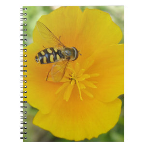 Cuaderno Hoverfly y californiano