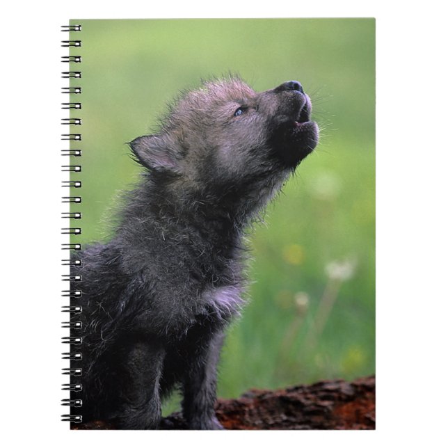 Cuaderno Howling Wolf Cub (Frente)