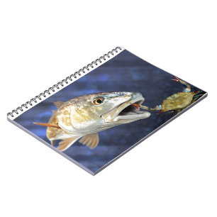 Cuaderno Huelga de los salmones