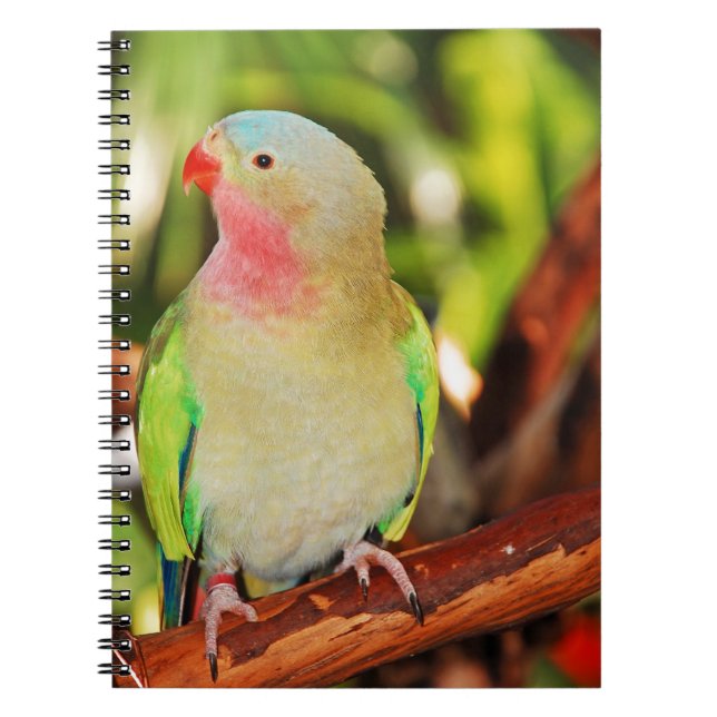 Cuaderno Huella de paracaídas de princesa verde (Frente)
