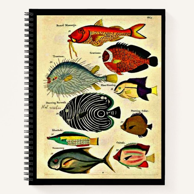 Cuaderno huella de pescado (Anverso)
