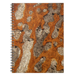 Cuaderno Hueso de dinosaurio debajo del microscopio