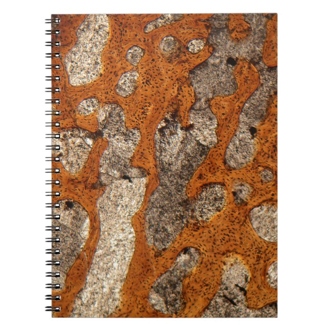 Cuaderno Hueso de dinosaurio debajo del microscopio (Frente)