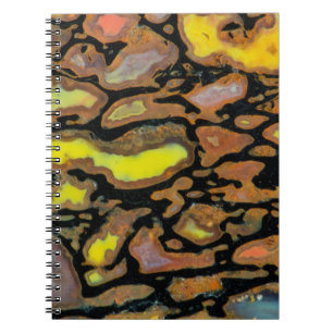 Cuaderno Hueso de Dinosaurio Multicolor