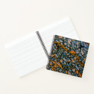 Cuaderno Hueso de dinosaurio petrificado