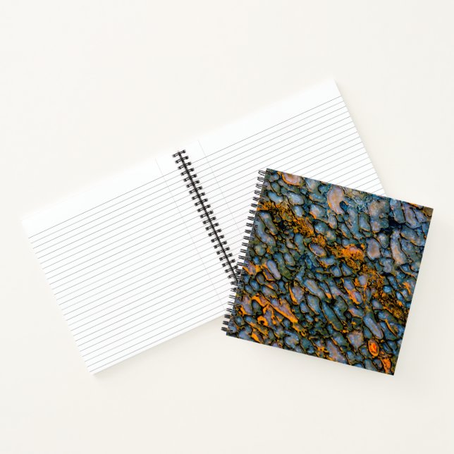 Cuaderno Hueso de dinosaurio petrificado (Interior)