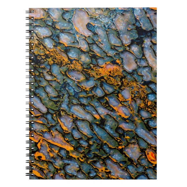 Cuaderno Hueso de dinosaurio petrificado (Frente)