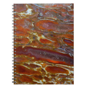 Cuaderno Hueso petrificado de dinosaurio
