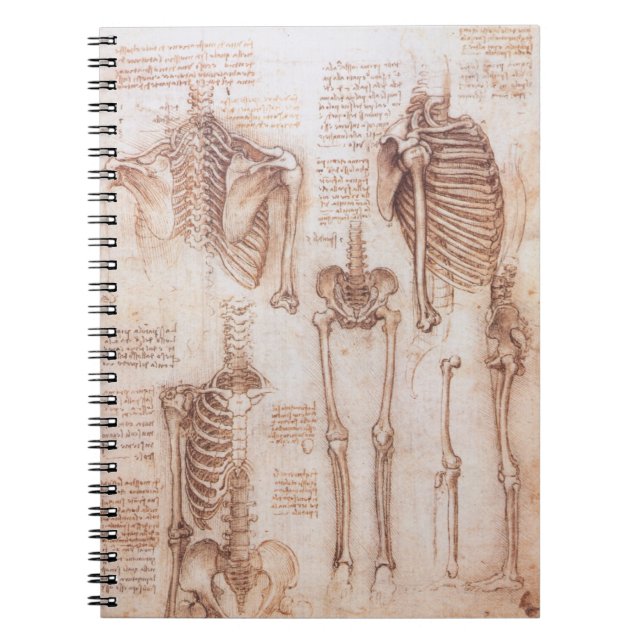 Cuaderno Huesos de esqueleto de anatomía humana de Leonardo (Frente)