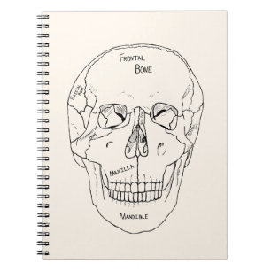 Cuaderno Huesos del cráneo - Etiquetados