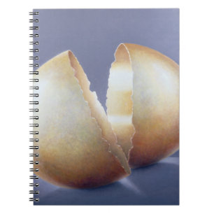 Cuaderno Huevo agrietado de la edad de bronce