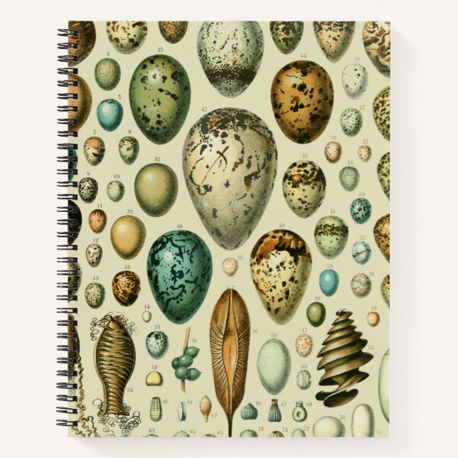 Cuaderno Huevos de aves de corral arte de huevo de pescado  (Anverso)
