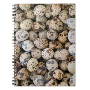 Cuaderno Huevos de Codorniz, Huaraz, Cordillera Blanca, Anc