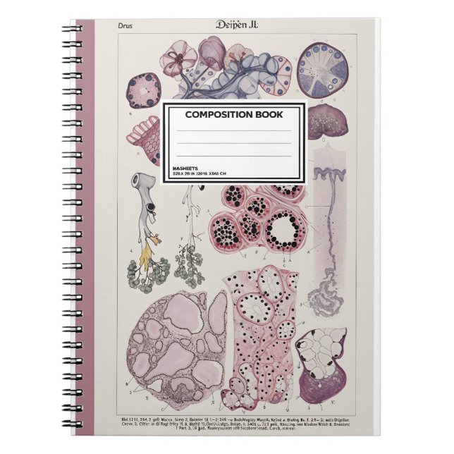 Cuaderno Human Tissue Histology Atlas Notebook (Frente)